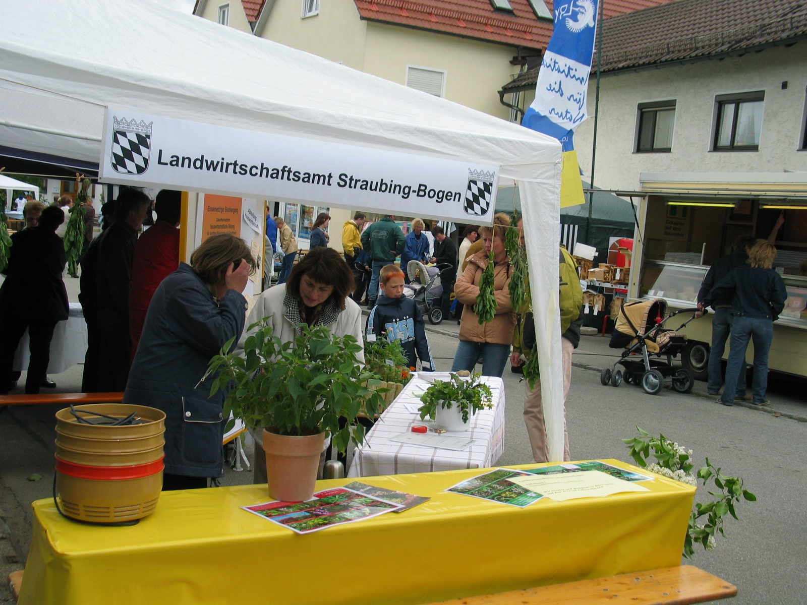 AUT_0045.JPG
